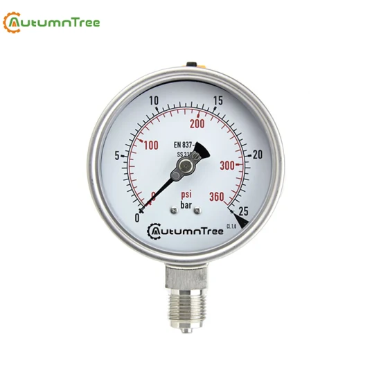 Manometer, flüssigkeitsgefülltes Manometer